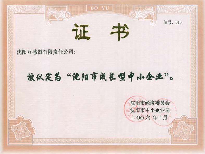 成长型企业证书